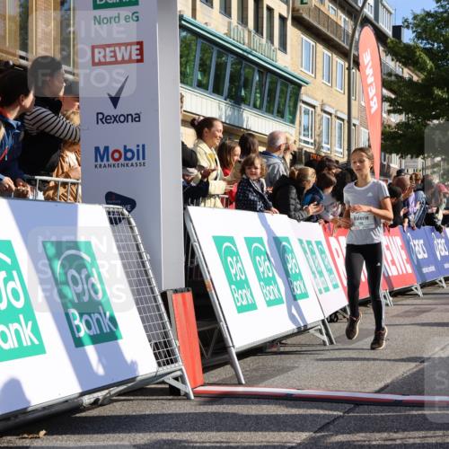 15.09.2024 - PSD Bank Halbmarathon Strokosch-Dieckow http://msf.ph/oto/7070748 15.09.2024 10:28:29 Ziel 84, 89, 94, 132, 135, 149, 161, 166, 208, 217, 258, 262, 285, 293 meine-sportfotos.de