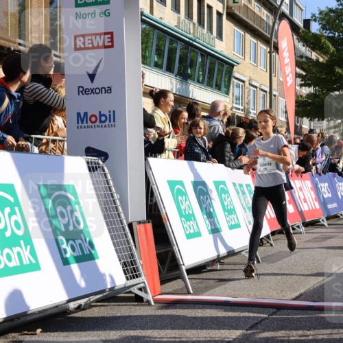 15.09.2024 - PSD Bank Halbmarathon Strokosch-Dieckow http://msf.ph/oto/7070806 15.09.2024 10:28:29 Ziel 84, 89, 94, 132, 135, 149, 161, 166, 208, 217, 258, 262, 285, 293 meine-sportfotos.de