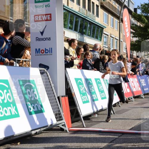 15.09.2024 - PSD Bank Halbmarathon Strokosch-Dieckow http://msf.ph/oto/7070835 15.09.2024 10:28:29 Ziel 84, 89, 94, 132, 135, 149, 161, 166, 208, 217, 258, 262, 285, 293 meine-sportfotos.de