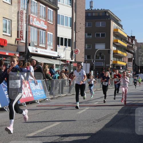 15.09.2024 - PSD Bank Halbmarathon Michael Strokosch http://msf.ph/oto/7070841 15.09.2024 10:27:14 Ziel 18, 48, 75, 82, 87, 136, 139, 167, 174, 198, 210, 219, 233, 268, 272, 294 meine-sportfotos.de