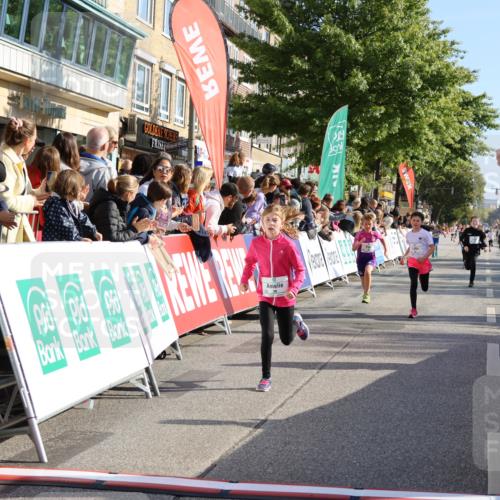 15.09.2024 - PSD Bank Halbmarathon Strokosch-Dieckow http://msf.ph/oto/7070871 15.09.2024 10:28:37 Ziel 45, 89, 92, 135, 149, 166, 183, 243, 258, 285 meine-sportfotos.de