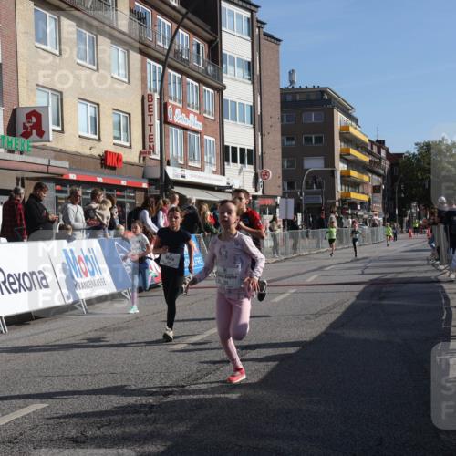 15.09.2024 - PSD Bank Halbmarathon Michael Strokosch http://msf.ph/oto/7070877 15.09.2024 10:27:16 Ziel 48, 87, 136, 139, 167, 174, 198, 210, 219, 233, 268, 272 meine-sportfotos.de
