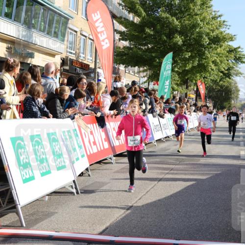 15.09.2024 - PSD Bank Halbmarathon Strokosch-Dieckow http://msf.ph/oto/7070905 15.09.2024 10:28:37 Ziel 45, 89, 92, 135, 149, 166, 183, 243, 258, 285 meine-sportfotos.de