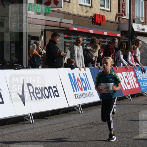 15.09.2024 - PSD Bank Halbmarathon Michael Strokosch http://msf.ph/oto/7070916 15.09.2024 10:27:23 Ziel 8, 48, 87, 122, 136, 139, 174, 219, 233, 268, 272 meine-sportfotos.de