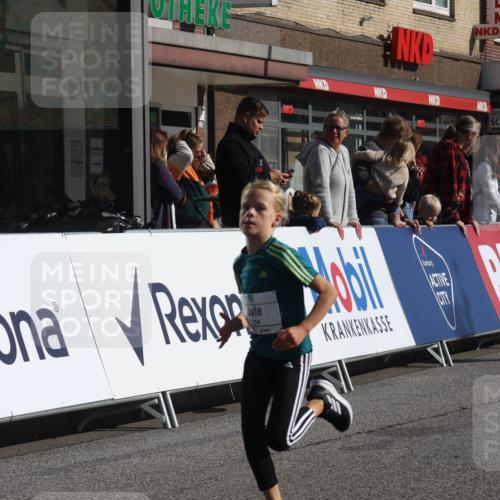 15.09.2024 - PSD Bank Halbmarathon Michael Strokosch http://msf.ph/oto/7070921 15.09.2024 10:27:23 Ziel 8, 48, 87, 122, 136, 139, 174, 219, 233, 268, 272 meine-sportfotos.de