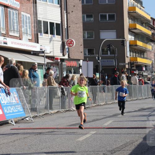 15.09.2024 - PSD Bank Halbmarathon Michael Strokosch http://msf.ph/oto/7070928 15.09.2024 10:27:25 Ziel 8, 48, 87, 122, 139, 174, 219, 233, 268, 272 meine-sportfotos.de