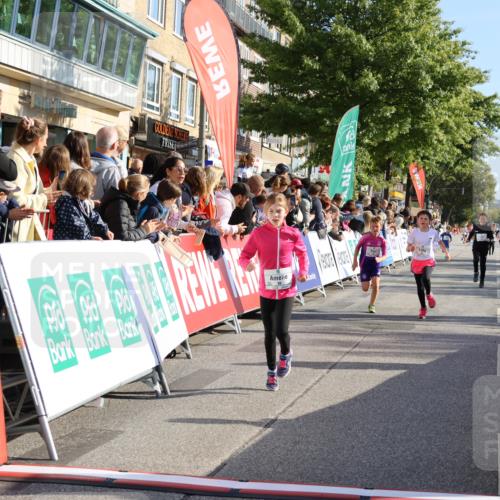 15.09.2024 - PSD Bank Halbmarathon Strokosch-Dieckow http://msf.ph/oto/7070940 15.09.2024 10:28:37 Ziel 45, 89, 92, 135, 149, 166, 183, 243, 258, 285 meine-sportfotos.de