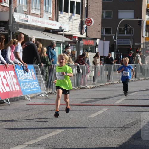 15.09.2024 - PSD Bank Halbmarathon Michael Strokosch http://msf.ph/oto/7070948 15.09.2024 10:27:26 Ziel 8, 48, 87, 122, 139, 159, 174, 204, 219, 233, 268, 272 meine-sportfotos.de