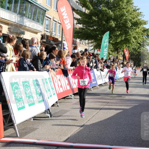 15.09.2024 - PSD Bank Halbmarathon Strokosch-Dieckow http://msf.ph/oto/7070967 15.09.2024 10:28:37 Ziel 45, 89, 92, 135, 149, 166, 183, 243, 258, 285 meine-sportfotos.de