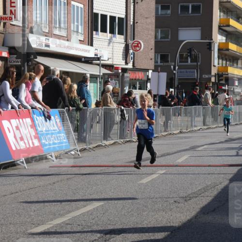 15.09.2024 - PSD Bank Halbmarathon Michael Strokosch http://msf.ph/oto/7070969 15.09.2024 10:27:27 Ziel 8, 48, 122, 139, 159, 174, 204, 219, 233, 268, 272 meine-sportfotos.de