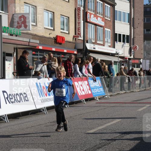 15.09.2024 - PSD Bank Halbmarathon Michael Strokosch http://msf.ph/oto/7070987 15.09.2024 10:27:29 Ziel 8, 48, 122, 125, 159, 174, 204, 233 meine-sportfotos.de