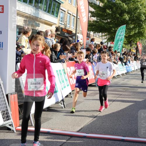 15.09.2024 - PSD Bank Halbmarathon Strokosch-Dieckow http://msf.ph/oto/7071016 15.09.2024 10:28:39 Ziel 45, 89, 92, 149, 166, 183, 243, 285 meine-sportfotos.de