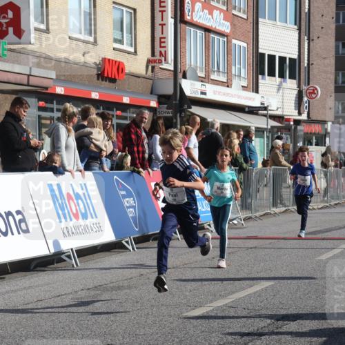 15.09.2024 - PSD Bank Halbmarathon Michael Strokosch http://msf.ph/oto/7071021 15.09.2024 10:27:34 Ziel 8, 37, 73, 101, 103, 122, 125, 159, 174, 204, 233 meine-sportfotos.de