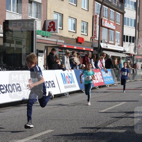 15.09.2024 - PSD Bank Halbmarathon Michael Strokosch http://msf.ph/oto/7071034 15.09.2024 10:27:34 Ziel 8, 37, 73, 101, 103, 122, 125, 159, 174, 204, 233 meine-sportfotos.de