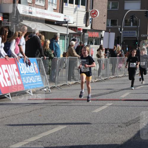 15.09.2024 - PSD Bank Halbmarathon Michael Strokosch http://msf.ph/oto/7071067 15.09.2024 10:27:37 Ziel 8, 37, 73, 101, 103, 122, 125, 159, 204, 249, 296 meine-sportfotos.de