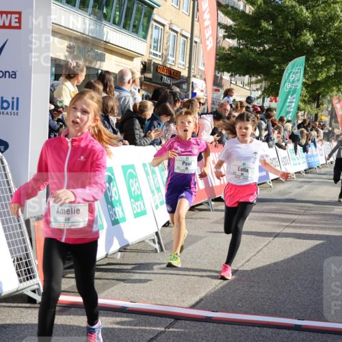 15.09.2024 - PSD Bank Halbmarathon Strokosch-Dieckow http://msf.ph/oto/7071106 15.09.2024 10:28:39 Ziel 45, 89, 92, 149, 166, 183, 243, 285 meine-sportfotos.de