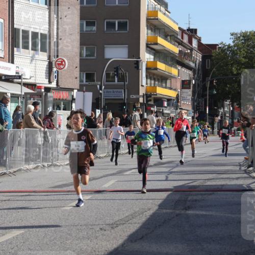 15.09.2024 - PSD Bank Halbmarathon Michael Strokosch http://msf.ph/oto/7071132 15.09.2024 10:27:42 Ziel 27, 28, 37, 73, 101, 103, 108, 125, 128, 138, 159, 204, 249, 261, 296 meine-sportfotos.de