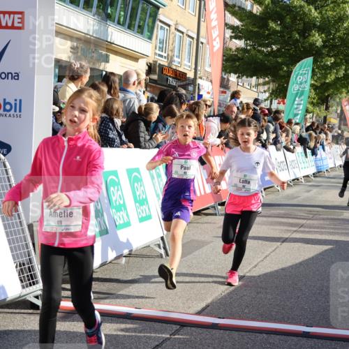 15.09.2024 - PSD Bank Halbmarathon Strokosch-Dieckow http://msf.ph/oto/7071135 15.09.2024 10:28:39 Ziel 45, 89, 92, 149, 166, 183, 243, 285 meine-sportfotos.de