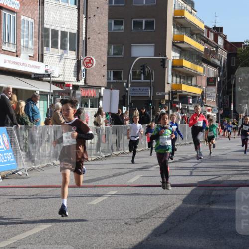 15.09.2024 - PSD Bank Halbmarathon Michael Strokosch http://msf.ph/oto/7071148 15.09.2024 10:27:43 Ziel 27, 28, 37, 73, 101, 103, 108, 125, 128, 138, 159, 204, 247, 249, 261, 296 meine-sportfotos.de