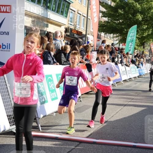 15.09.2024 - PSD Bank Halbmarathon Strokosch-Dieckow http://msf.ph/oto/7071187 15.09.2024 10:28:39 Ziel 45, 89, 92, 149, 166, 183, 243, 285 meine-sportfotos.de