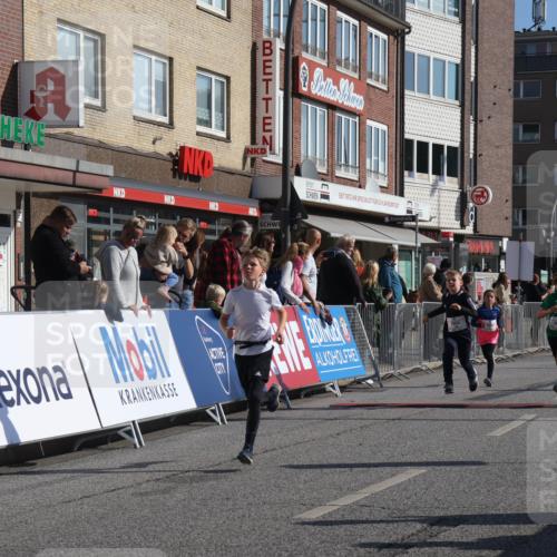 15.09.2024 - PSD Bank Halbmarathon Michael Strokosch http://msf.ph/oto/7071208 15.09.2024 10:27:47 Ziel 27, 28, 37, 73, 101, 103, 108, 125, 128, 138, 230, 247, 249, 261, 296 meine-sportfotos.de