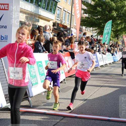 15.09.2024 - PSD Bank Halbmarathon Strokosch-Dieckow http://msf.ph/oto/7071212 15.09.2024 10:28:39 Ziel 45, 89, 92, 149, 166, 183, 243, 285 meine-sportfotos.de