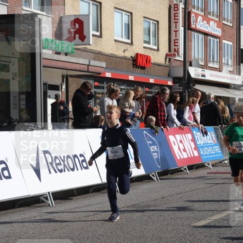 15.09.2024 - PSD Bank Halbmarathon Michael Strokosch http://msf.ph/oto/7071229 15.09.2024 10:27:49 Ziel 14, 27, 28, 37, 43, 73, 77, 101, 103, 108, 128, 138, 230, 247, 249, 261, 296 meine-sportfotos.de