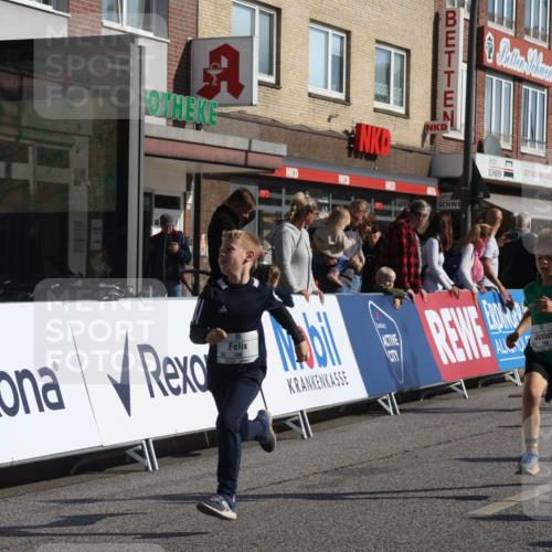 15.09.2024 - PSD Bank Halbmarathon Michael Strokosch http://msf.ph/oto/7071232 15.09.2024 10:27:49 Ziel 14, 27, 28, 37, 43, 73, 77, 101, 103, 108, 128, 138, 230, 247, 249, 261, 296 meine-sportfotos.de