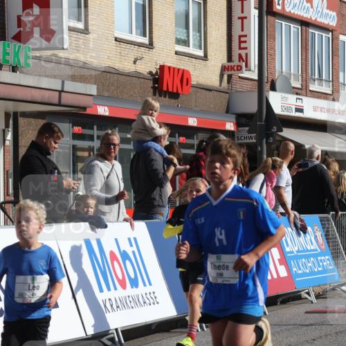 15.09.2024 - PSD Bank Halbmarathon Michael Strokosch http://msf.ph/oto/7071332 15.09.2024 10:27:56 Ziel 14, 27, 28, 43, 77, 94, 108, 128, 138, 217, 230, 247, 261, 262, 293, 296 meine-sportfotos.de