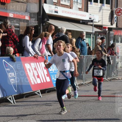 15.09.2024 - PSD Bank Halbmarathon Michael Strokosch http://msf.ph/oto/7071385 15.09.2024 10:28:02 Ziel 14, 43, 77, 84, 94, 132, 161, 208, 217, 230, 247, 258, 261, 262, 293 meine-sportfotos.de