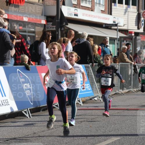 15.09.2024 - PSD Bank Halbmarathon Michael Strokosch http://msf.ph/oto/7071394 15.09.2024 10:28:02 Ziel 14, 43, 77, 84, 94, 132, 161, 208, 217, 230, 247, 258, 261, 262, 293 meine-sportfotos.de