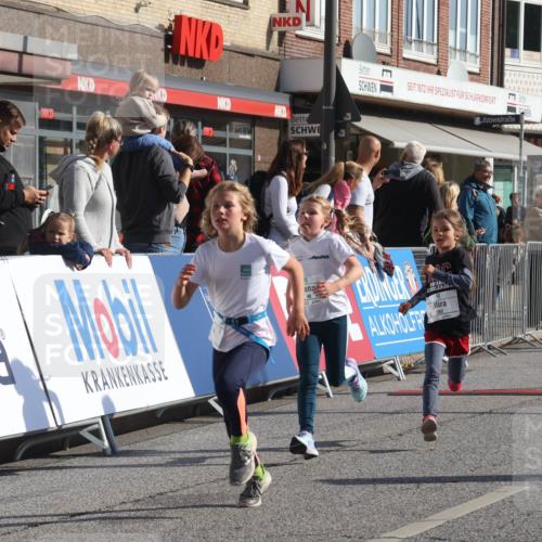 15.09.2024 - PSD Bank Halbmarathon Michael Strokosch http://msf.ph/oto/7071398 15.09.2024 10:28:02 Ziel 14, 43, 77, 84, 94, 132, 161, 208, 217, 230, 247, 258, 261, 262, 293 meine-sportfotos.de