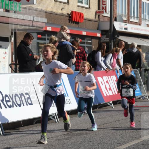 15.09.2024 - PSD Bank Halbmarathon Michael Strokosch http://msf.ph/oto/7071402 15.09.2024 10:28:03 Ziel 14, 43, 77, 84, 94, 132, 161, 208, 217, 230, 247, 258, 262, 293 meine-sportfotos.de