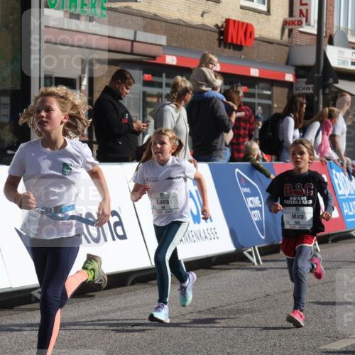 15.09.2024 - PSD Bank Halbmarathon Michael Strokosch http://msf.ph/oto/7071408 15.09.2024 10:28:03 Ziel 14, 43, 77, 84, 94, 132, 161, 208, 217, 230, 247, 258, 262, 293 meine-sportfotos.de