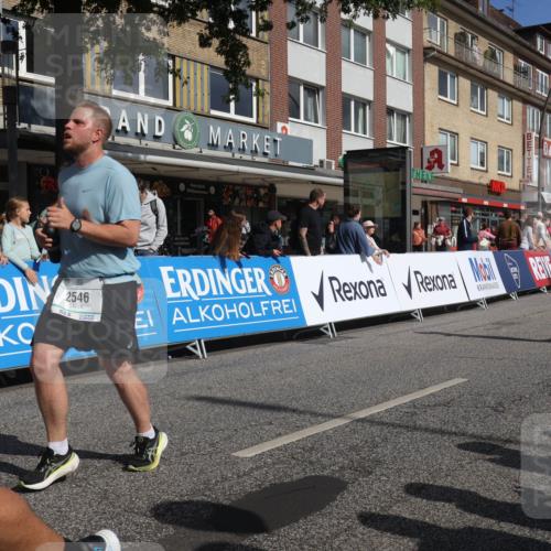 15.09.2024 - PSD Bank Halbmarathon Michael Strokosch http://msf.ph/oto/7071410 15.09.2024 12:10:14 Ziel 1211, 1639, 1649, 1836, 1881, 1993, 1998, 2028, 2170, 2196, 2308, 2546, 2547, 2877, 2915, 2937, 2985, 3144, 3187, 3538 meine-sportfotos.de