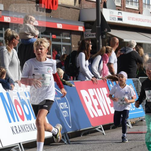 15.09.2024 - PSD Bank Halbmarathon Michael Strokosch http://msf.ph/oto/7071477 15.09.2024 10:28:08 Ziel 14, 43, 77, 84, 94, 132, 135, 161, 166, 208, 217, 258, 262, 285, 293 meine-sportfotos.de