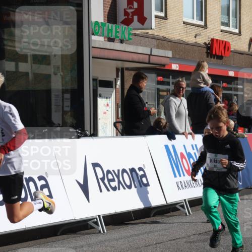15.09.2024 - PSD Bank Halbmarathon Michael Strokosch http://msf.ph/oto/7071497 15.09.2024 10:28:09 Ziel 14, 84, 94, 132, 135, 161, 166, 208, 217, 258, 262, 285, 293 meine-sportfotos.de