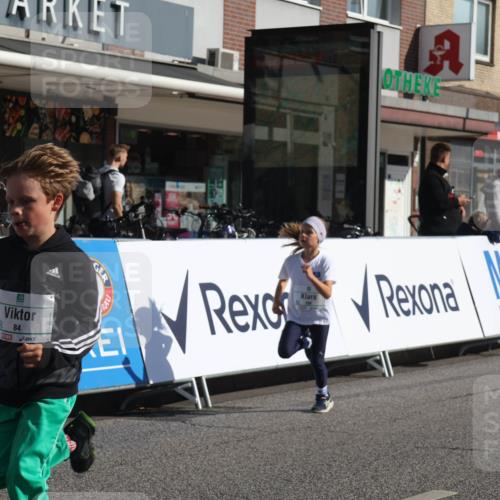 15.09.2024 - PSD Bank Halbmarathon Michael Strokosch http://msf.ph/oto/7071513 15.09.2024 10:28:10 Ziel 84, 94, 132, 135, 161, 166, 208, 217, 258, 262, 285, 293 meine-sportfotos.de