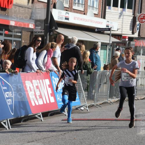 15.09.2024 - PSD Bank Halbmarathon Michael Strokosch http://msf.ph/oto/7071543 15.09.2024 10:28:14 Ziel 84, 89, 94, 132, 135, 149, 161, 166, 208, 217, 258, 262, 285, 293 meine-sportfotos.de