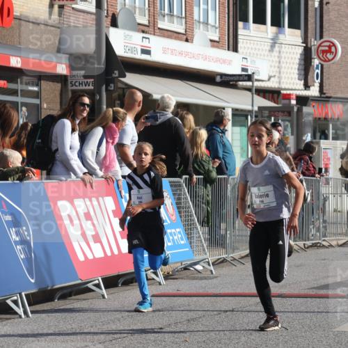 15.09.2024 - PSD Bank Halbmarathon Michael Strokosch http://msf.ph/oto/7071547 15.09.2024 10:28:15 Ziel 45, 84, 89, 94, 132, 135, 149, 161, 166, 208, 217, 258, 262, 285 meine-sportfotos.de
