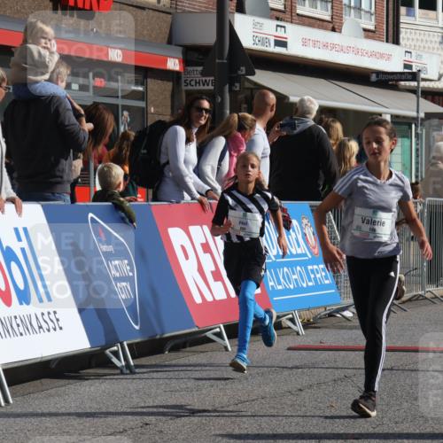 15.09.2024 - PSD Bank Halbmarathon Michael Strokosch http://msf.ph/oto/7071553 15.09.2024 10:28:15 Ziel 45, 84, 89, 94, 132, 135, 149, 161, 166, 208, 217, 258, 262, 285 meine-sportfotos.de