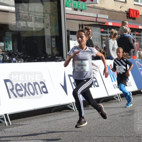 15.09.2024 - PSD Bank Halbmarathon Michael Strokosch http://msf.ph/oto/7071564 15.09.2024 10:28:16 Ziel 45, 84, 89, 132, 135, 149, 161, 166, 208, 217, 258, 285 meine-sportfotos.de