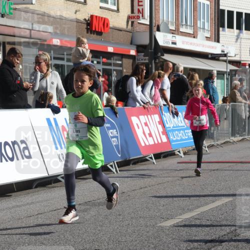 15.09.2024 - PSD Bank Halbmarathon Michael Strokosch http://msf.ph/oto/7071596 15.09.2024 10:28:19 Ziel 45, 84, 89, 92, 135, 149, 166, 183, 208, 258, 285 meine-sportfotos.de