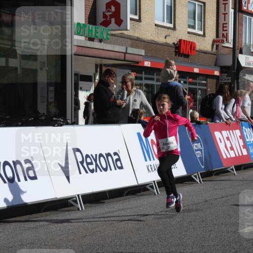 15.09.2024 - PSD Bank Halbmarathon Michael Strokosch http://msf.ph/oto/7071614 15.09.2024 10:28:20 Ziel 45, 84, 89, 92, 135, 149, 166, 183, 208, 243, 258, 285 meine-sportfotos.de