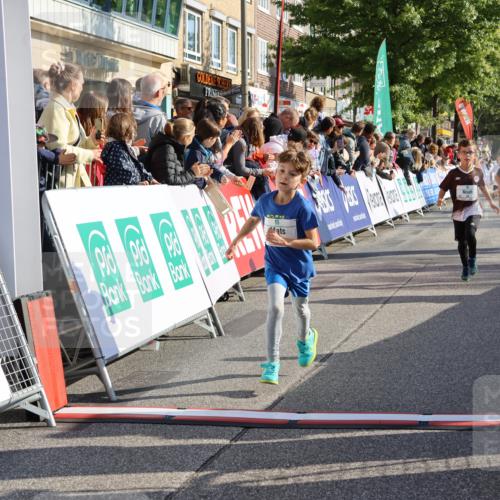 15.09.2024 - PSD Bank Halbmarathon Strokosch-Dieckow http://msf.ph/oto/7071647 15.09.2024 10:28:48 Ziel 26, 45, 89, 92, 162, 183, 184, 192, 243, 273, 305 meine-sportfotos.de