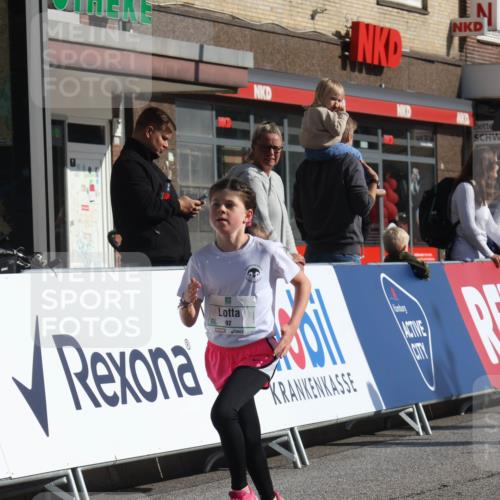 15.09.2024 - PSD Bank Halbmarathon Michael Strokosch http://msf.ph/oto/7071671 15.09.2024 10:28:25 Ziel 26, 45, 89, 92, 135, 149, 166, 183, 184, 192, 243, 285 meine-sportfotos.de