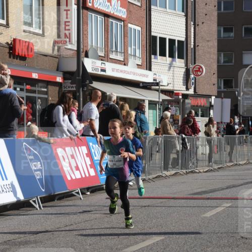 15.09.2024 - PSD Bank Halbmarathon Michael Strokosch http://msf.ph/oto/7071697 15.09.2024 10:28:28 Ziel 26, 45, 89, 92, 149, 162, 166, 183, 184, 192, 243, 273, 285 meine-sportfotos.de
