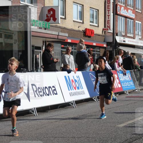 15.09.2024 - PSD Bank Halbmarathon Michael Strokosch http://msf.ph/oto/7071809 15.09.2024 10:28:40 Ziel 26, 130, 140, 162, 184, 192, 205, 235, 243, 273, 305 meine-sportfotos.de