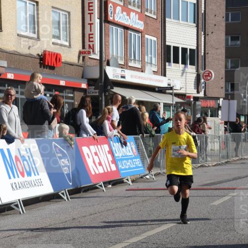 15.09.2024 - PSD Bank Halbmarathon Michael Strokosch http://msf.ph/oto/7071879 15.09.2024 10:28:48 Ziel 106, 107, 130, 137, 140, 162, 179, 205, 222, 235, 305 meine-sportfotos.de