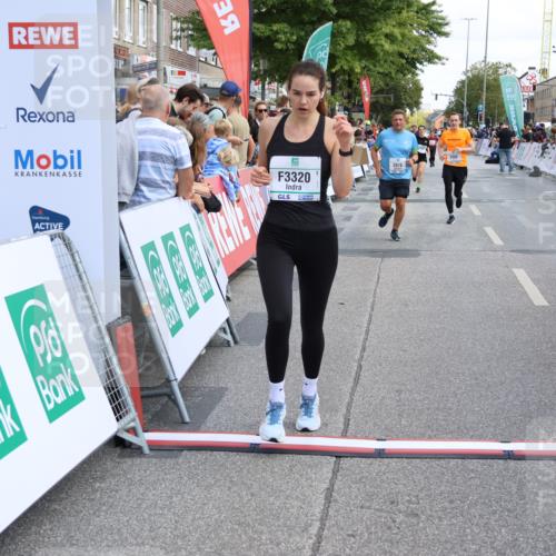 15.09.2024 - PSD Bank Halbmarathon Strokosch-Dieckow http://msf.ph/oto/7071883 15.09.2024 12:23:30 Ziel 803, 2078, 2400, 2550, 2933, 2999, 3243, 3320 meine-sportfotos.de